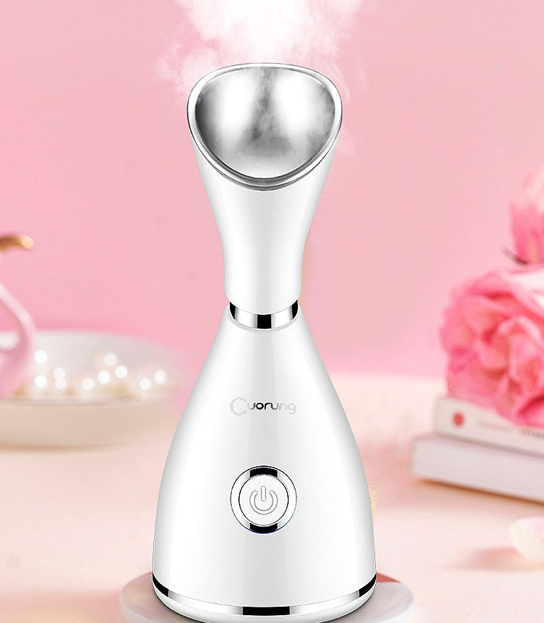 Facial Steamer